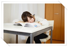 エルセーヌの紹介