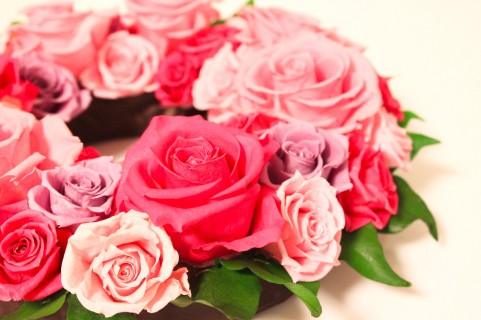 エルセーヌの勧誘